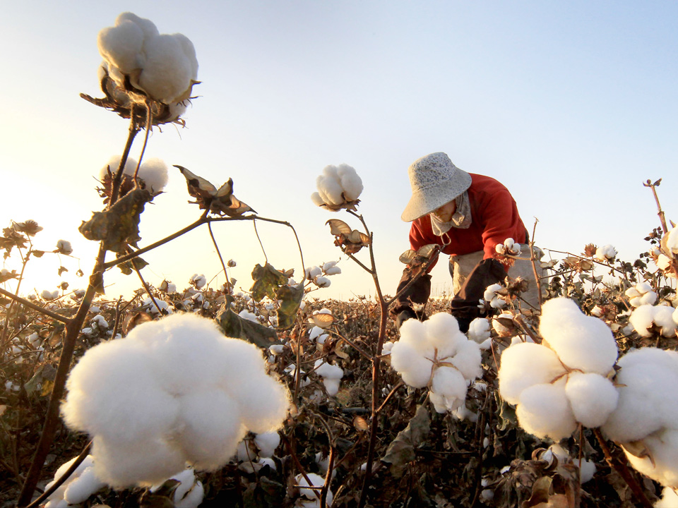 三人行環保-公司實力強