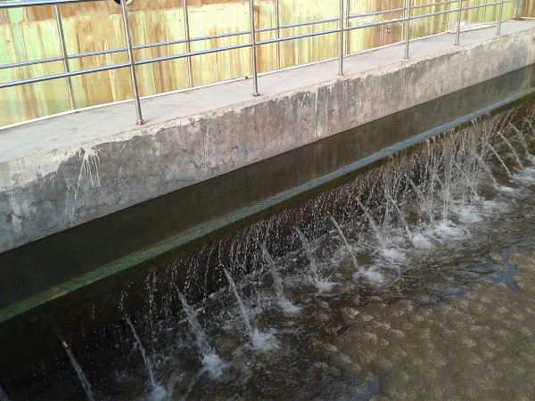 食品行業啤酒廢水處理解決方案